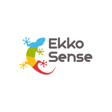 ekkosense